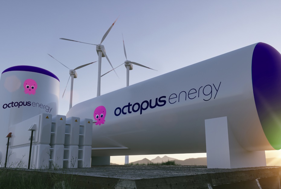 Cracking the Octopus Energy Code: Strategies for Sustainable Power Solutions