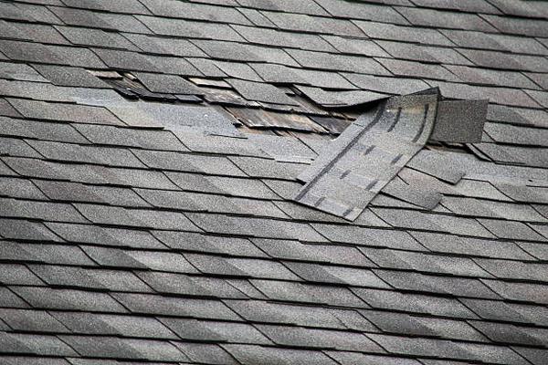 Roofing Services: Repair, Maintenance, and Installation