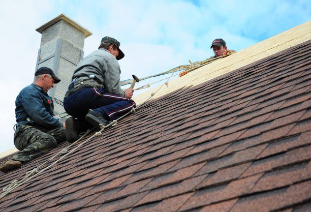 Skilled Roofing Services for Every Concord Property