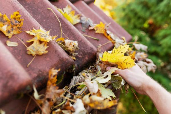 Evaluating Roof Materials: Advice from Wind Gap Roofers